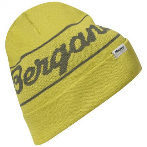 Шапка Bergans Logo Beanie, Green Oasis/Green Mud