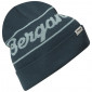 Шапка Bergans Logo Beanie, Orion Blue/Misty Forest